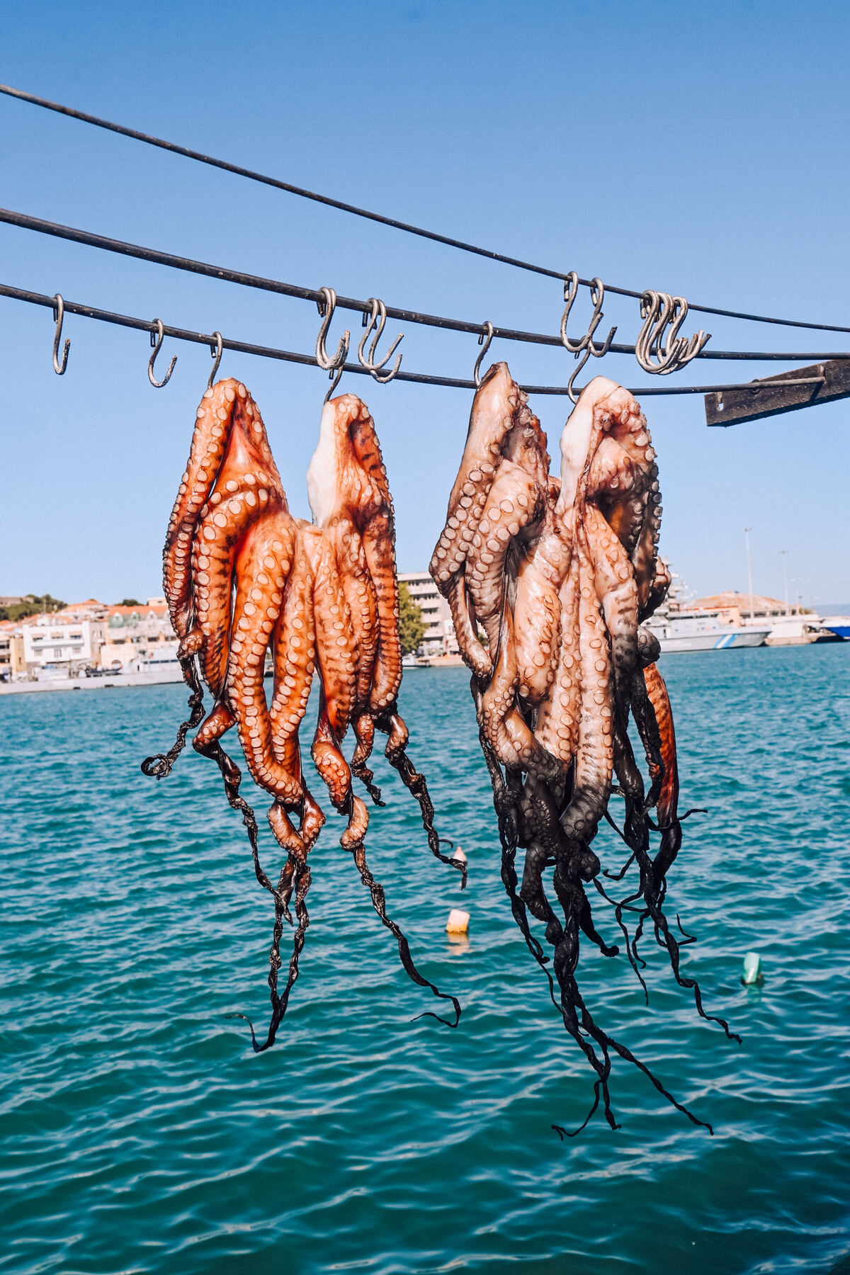 Aegean flavors
